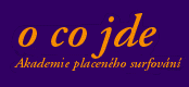 O co jde - Academy -Akademie placen�ho surfov�n�!