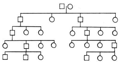 Diagram of Extended Descendant Chart on all lines