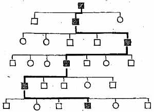 Diagram of Descendant Chart on one direct line