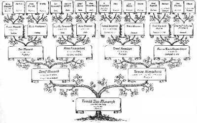 Diagram of Pedigree (Ancestry) Chart